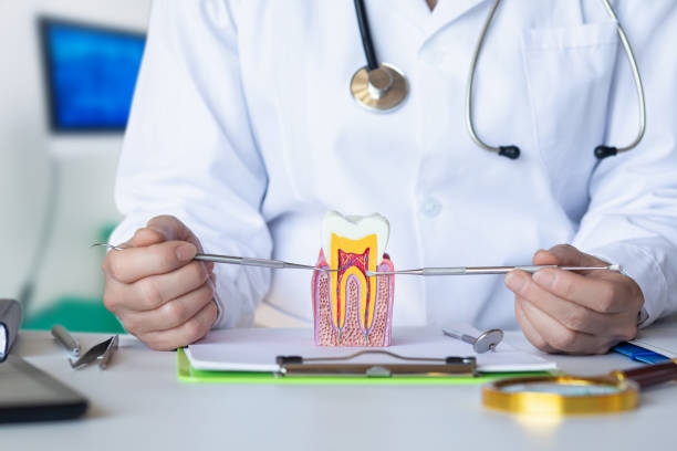 Best Emergency Treatment for Dental Infections or Abscesses in Bedford, IN